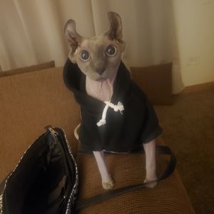 Meet your Posher, Stephanie